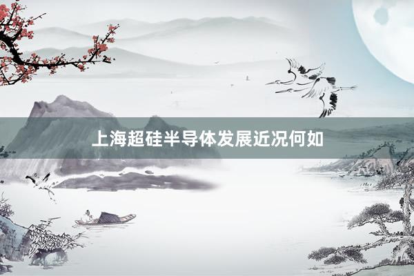 上海超硅半导体发展近况何如